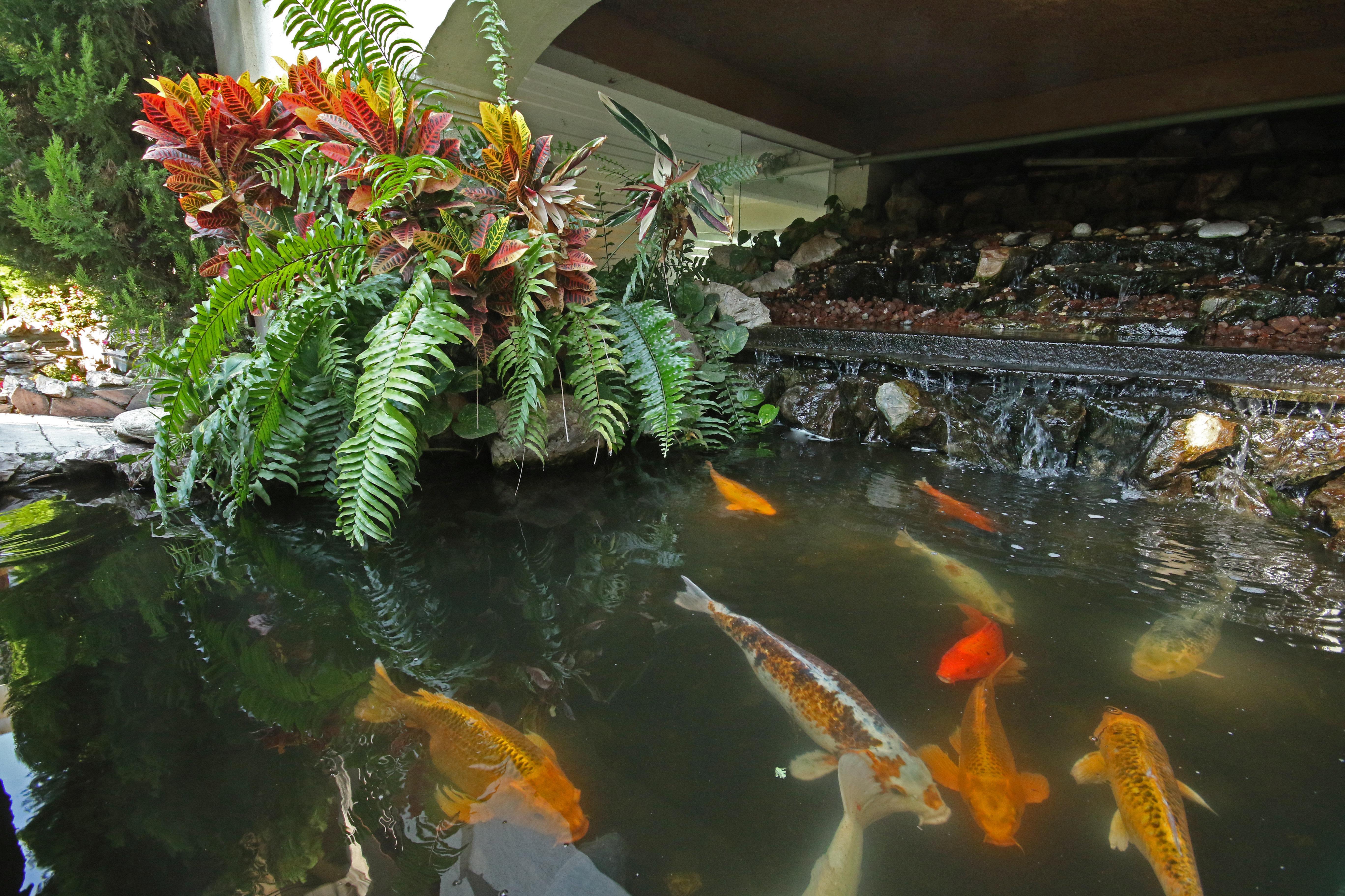 Holiday Inn Cuernavaca By Ihg Exterior foto