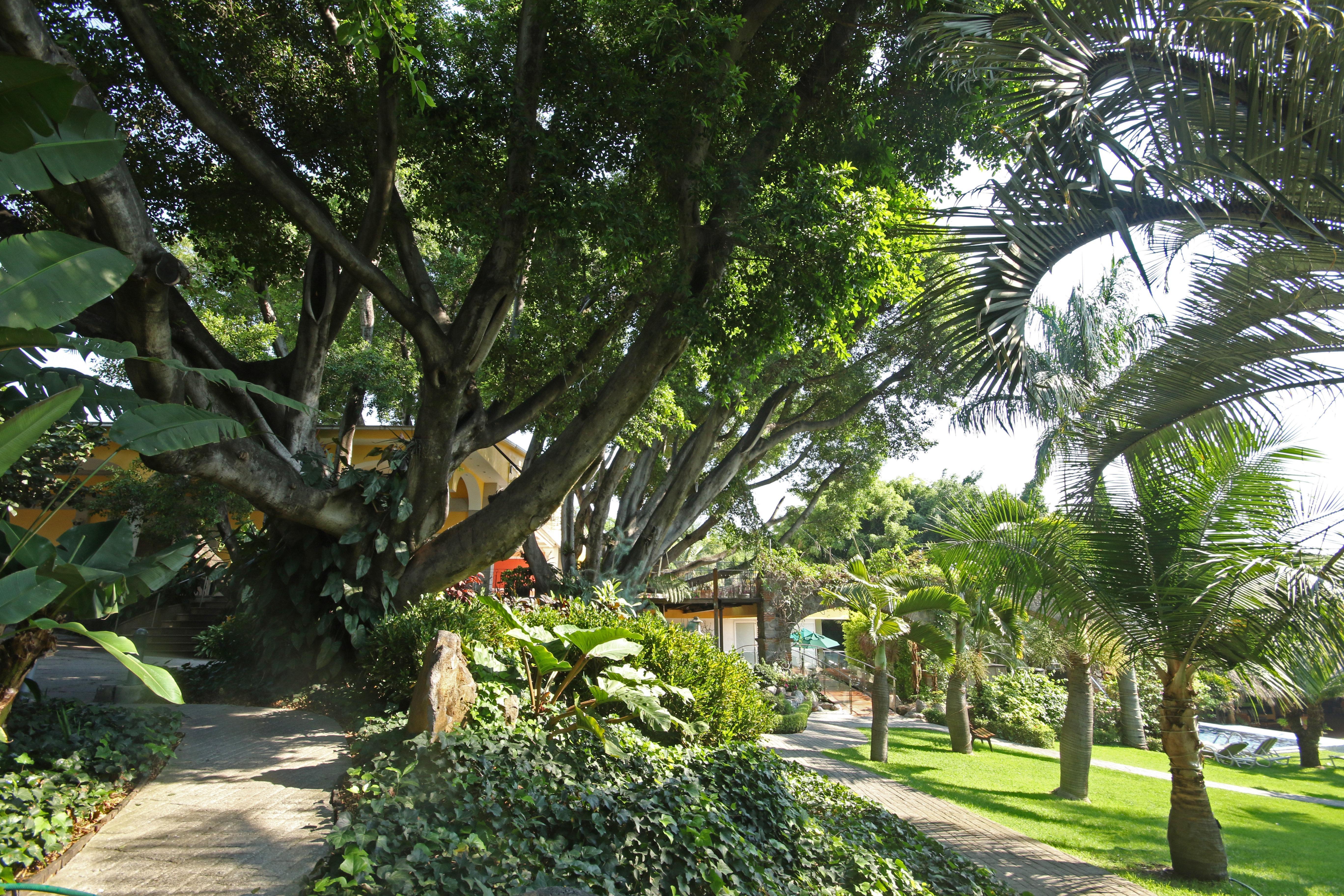 Holiday Inn Cuernavaca By Ihg Exterior foto